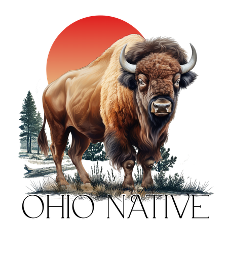 Bison, an Ohio Native...15 oz Mug and or T-shirt